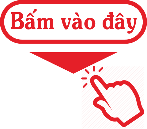 bam-vao-day